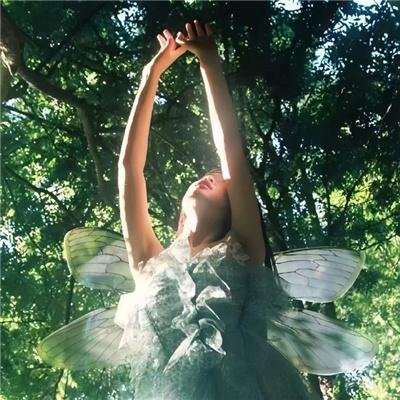 外星也难民第一季